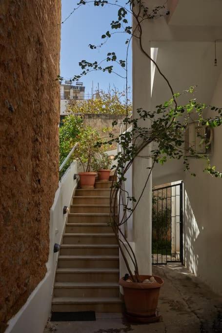 The Sunny House Apartment *